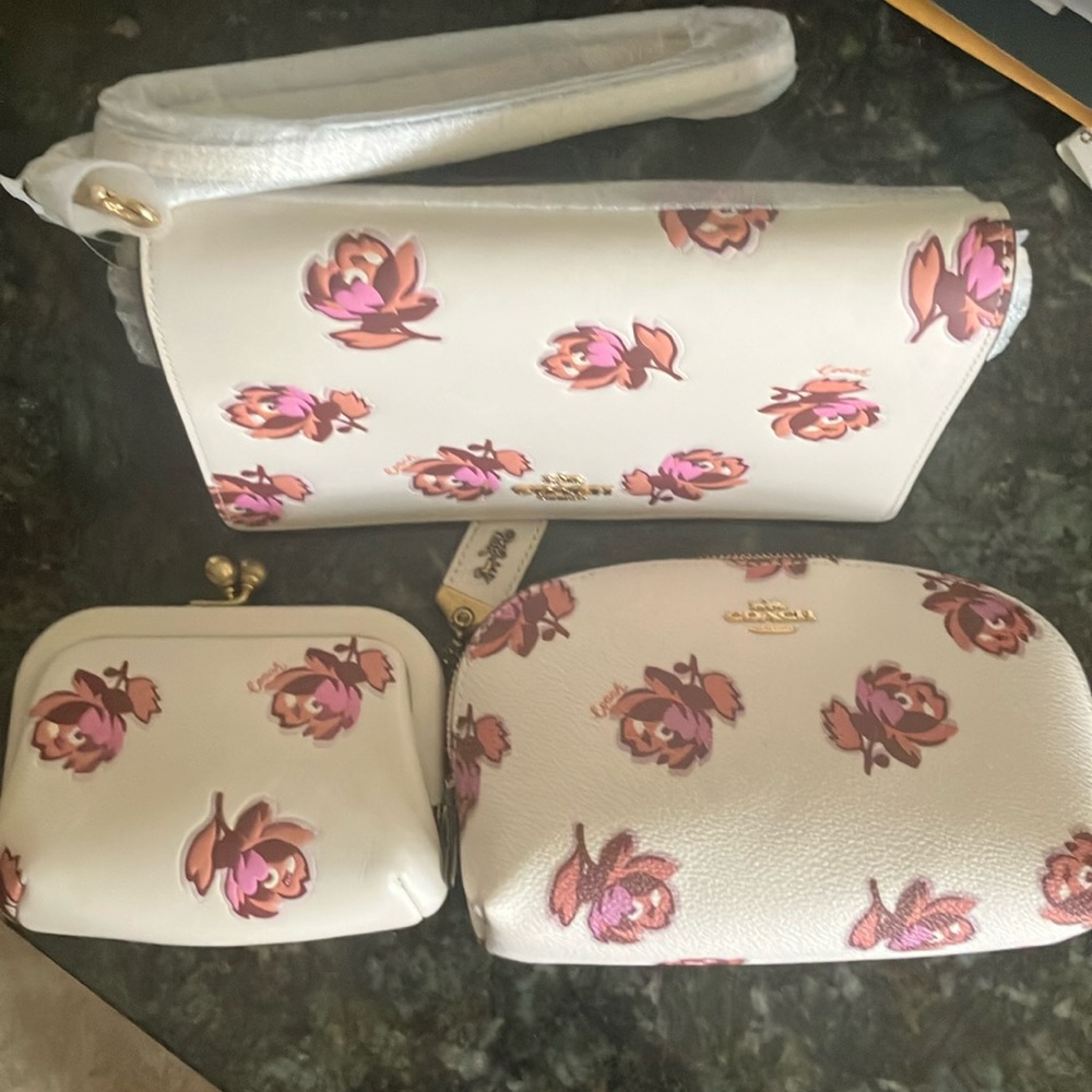 NWT! Coach Floral Print HYDN clutch 3 set